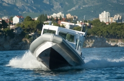 Great White
