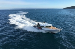 Great White 49